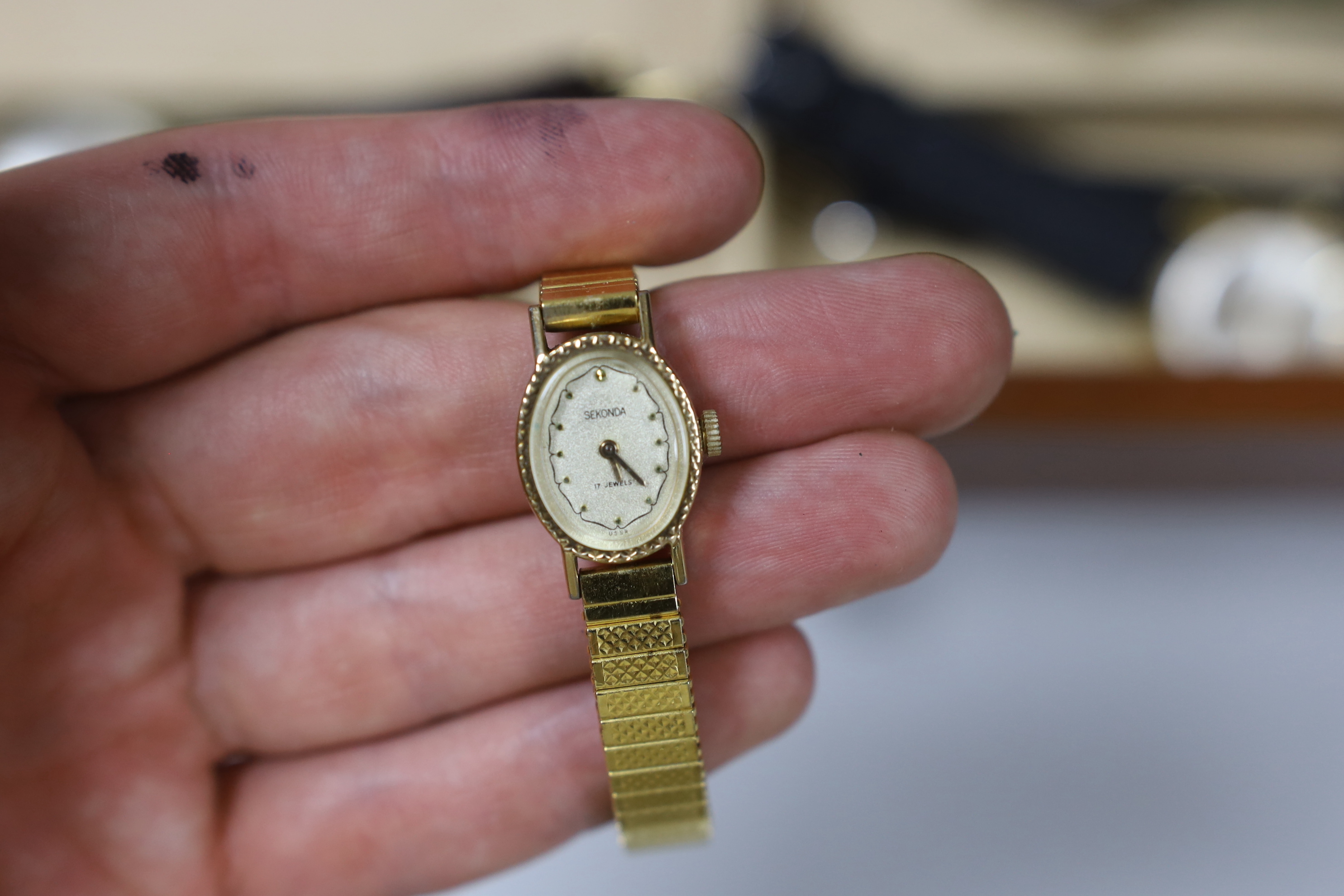 Seventeen assorted lady's or gentleman's wrist watches including a silver manual wind Omega, circa 1917 and a stainless steel Tudor, together with a pedometer?